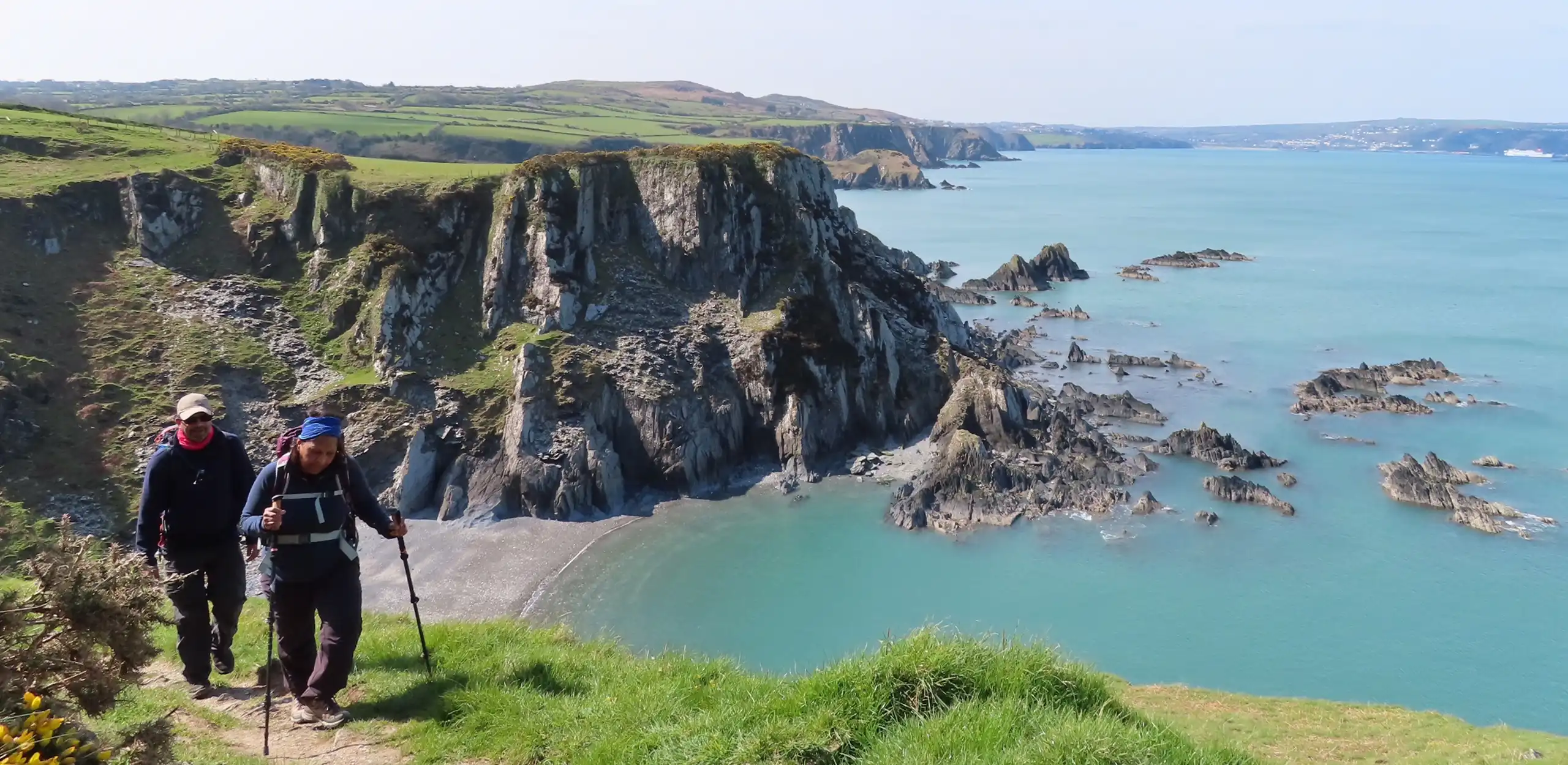 Exclusive guided walk along the Pembrokeshire Coastal Path