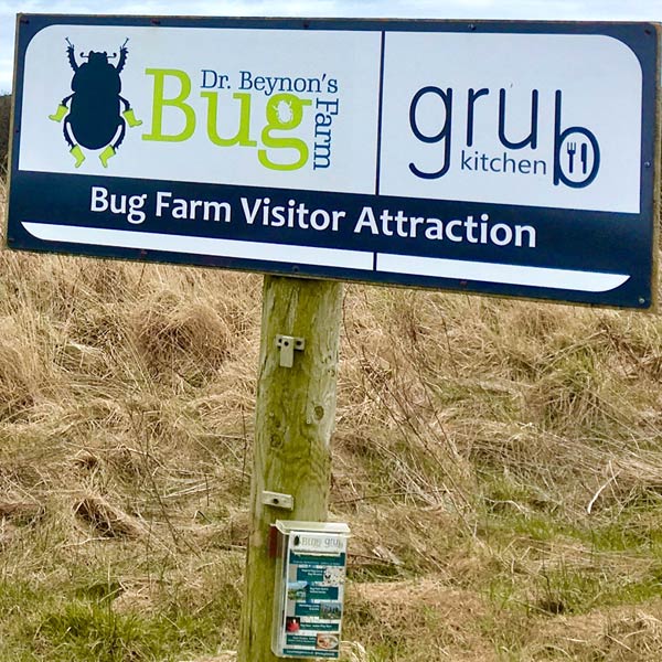 Bug Grub and insect farm - St Davids