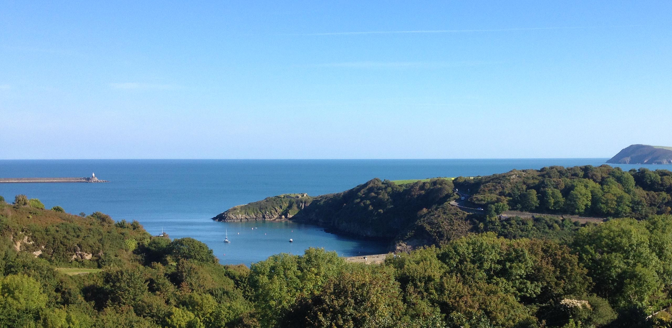 View from Manor Town House